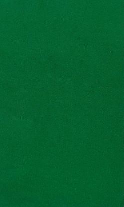 Picture of ARDEE SINGLE JERSEY PLAIN 40/20 COTTON SPANDEX GREEN.