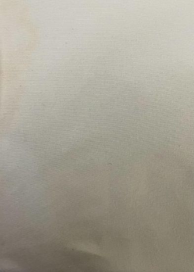 Picture of ARDEE SINGLE JERSEY PLAIN 30/20 COTTON MODAL SPANDEX IVORY.