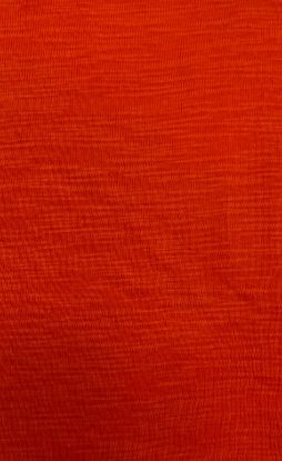 Picture of ARDEE 100% COTTON SLUB 1X1 RIB ORANGE