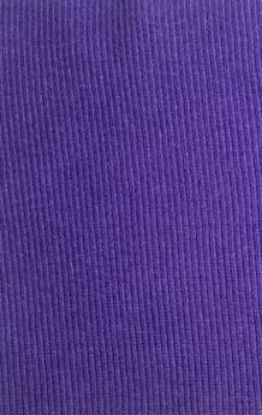 Picture of ARDEE 2X2 RIB COTTON SPANDEX DARK VOILET