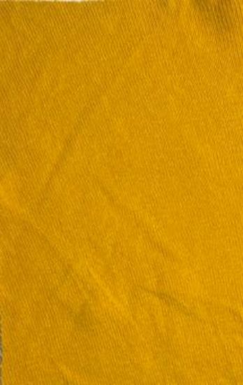 Picture of ARDEE 100% COTTON 1X1 RIB SOLID  MUSTARD YELLOW 