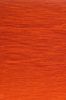 Picture of roll no.1164