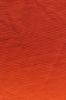 Picture of roll no.1341