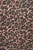 Picture of roll no.2579
