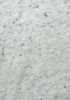 Picture of roll no.1596