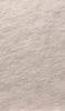 Picture of roll no.250