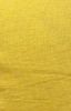 Picture of roll no.251