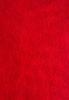 Picture of roll no.1709