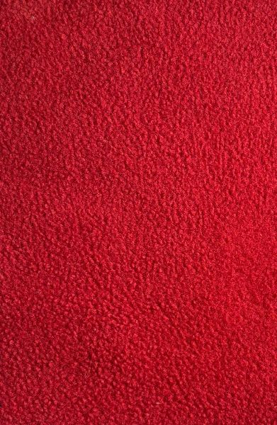 Picture of roll no.1831