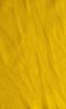 Picture of roll no.2518