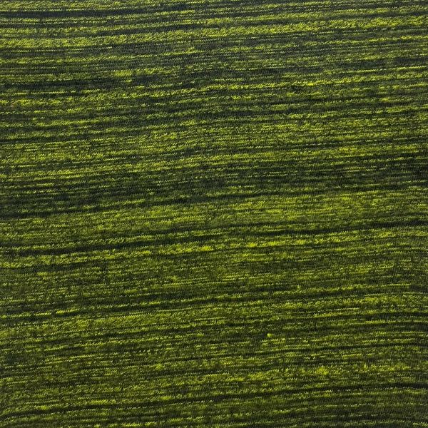 Picture of 0 - 0 - KNIT FABRIC - ARDEE1893