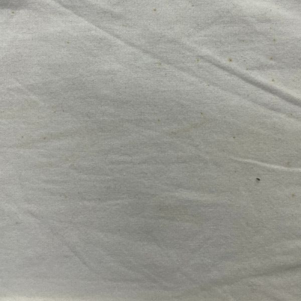 Picture of FLEECE SPANDEX SOLID COLOR - IVORY - KNIT FABRIC - ARDEE1388
